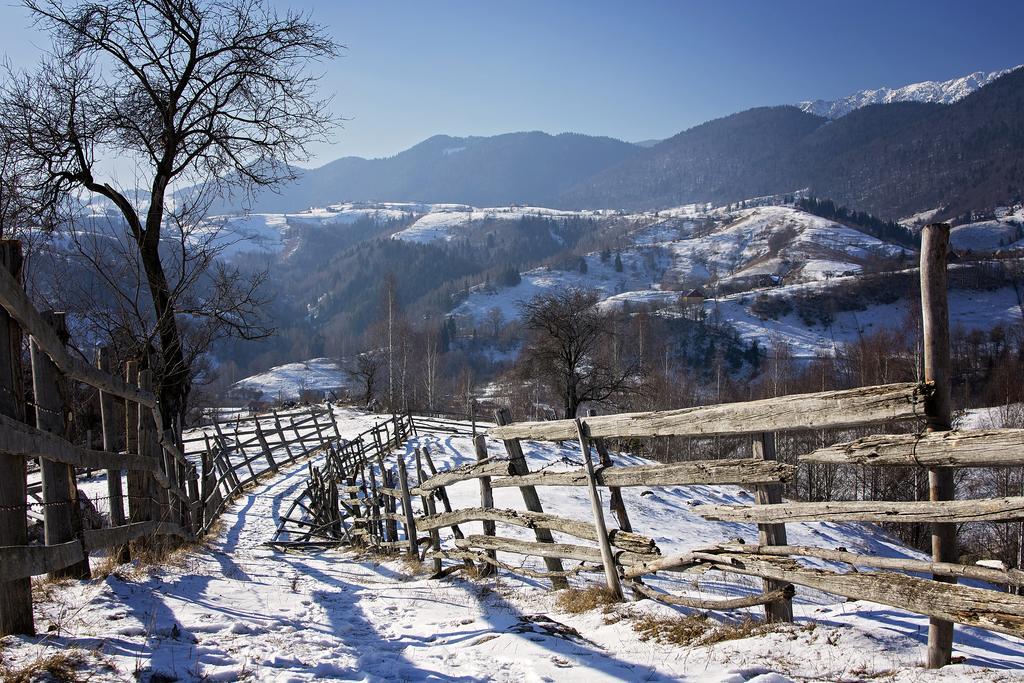 Hotel Samedru Măgura Exteriér fotografie