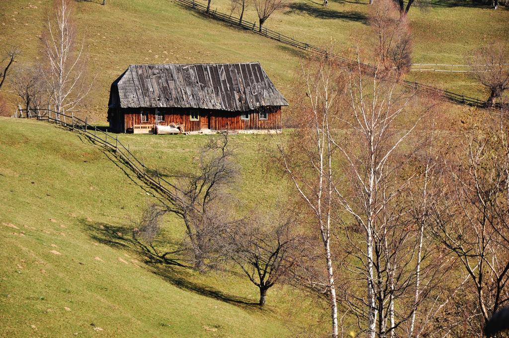 Hotel Samedru Măgura Exteriér fotografie