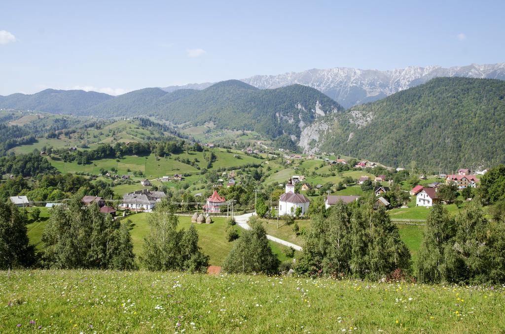 Hotel Samedru Măgura Exteriér fotografie