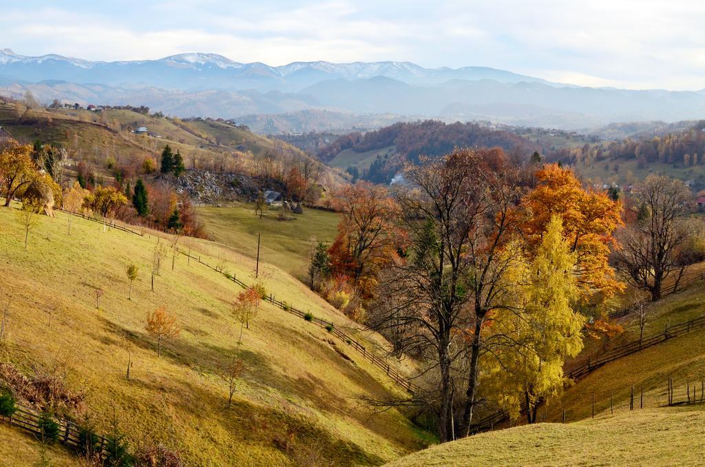 Hotel Samedru Măgura Exteriér fotografie