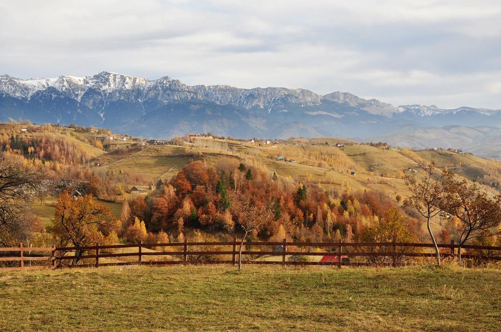 Hotel Samedru Măgura Exteriér fotografie