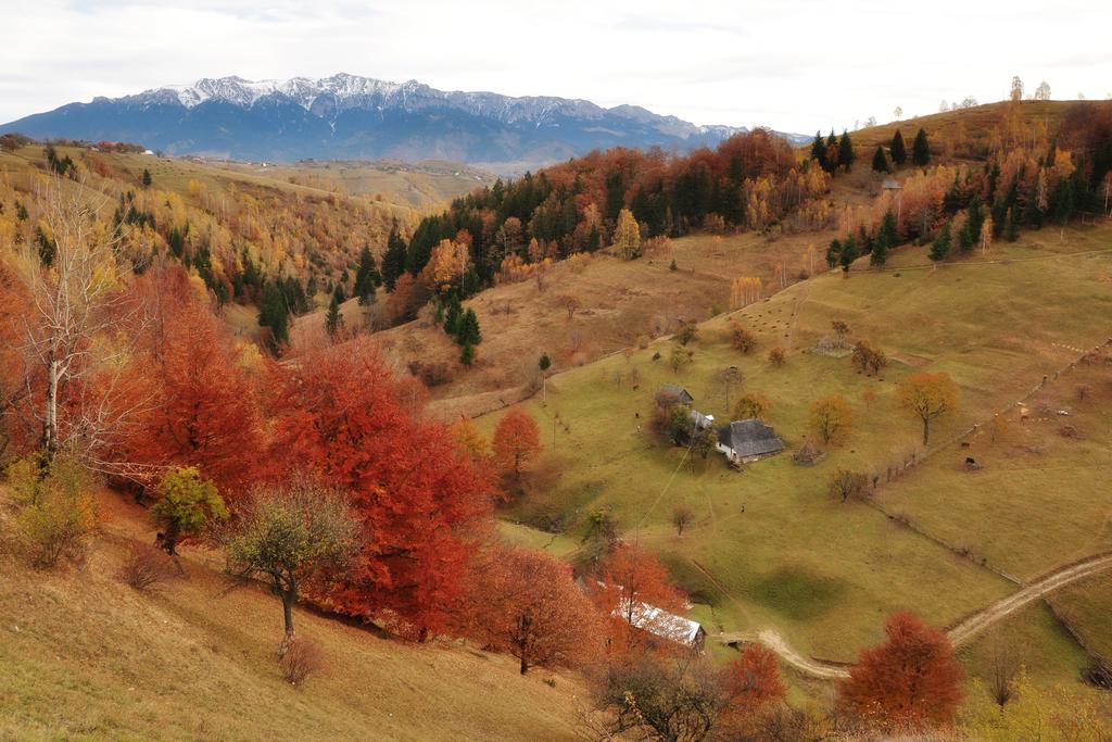 Hotel Samedru Măgura Exteriér fotografie