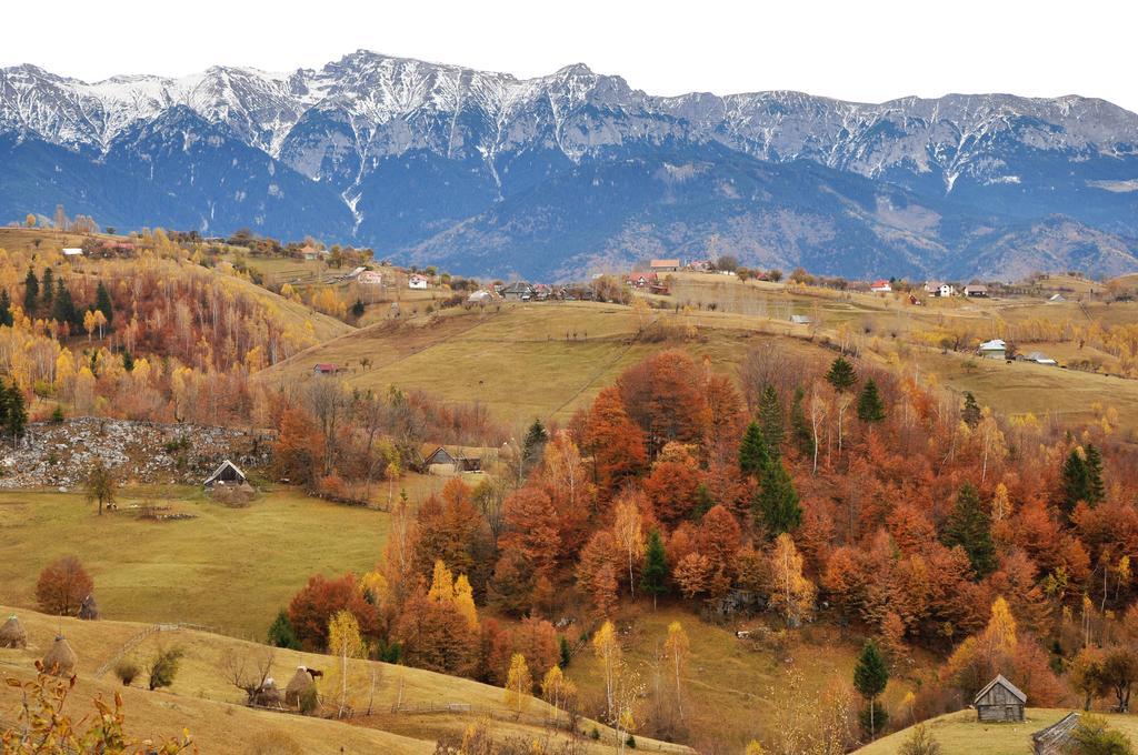 Hotel Samedru Măgura Exteriér fotografie